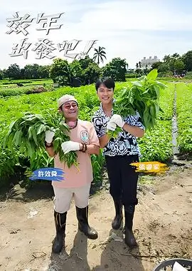 周末不打烊免费综艺在线观看